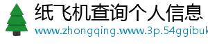 纸飞机查询个人信息